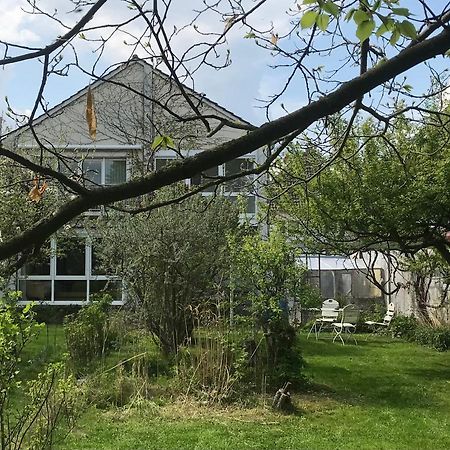 Rebenlaub Apartment Heringen  Bagian luar foto