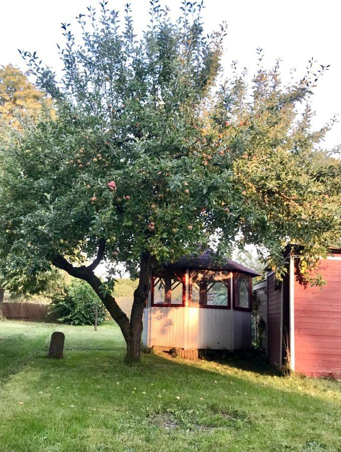 Rebenlaub Apartment Heringen  Bagian luar foto